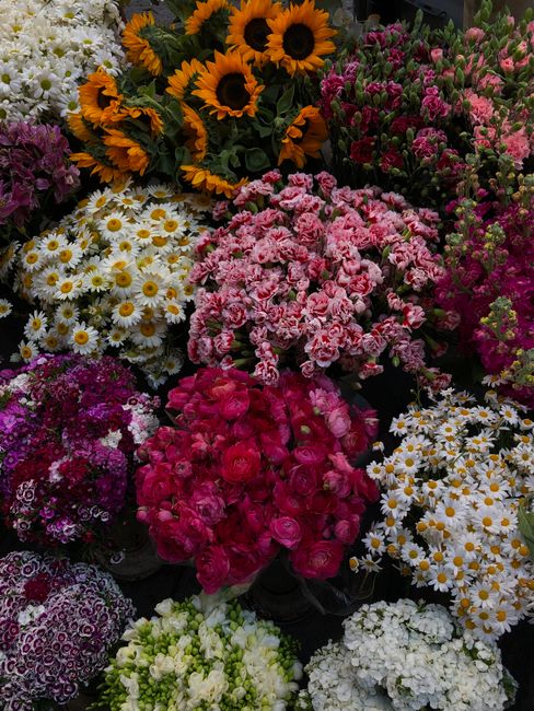 A vibrant display of freshly cut flowers featuring sunflowers with large yellow petals and dark centers, pink and white carnations with ruffled petals, clusters of small white daisies with yellow cent