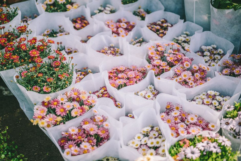 A vibrant display of small floral bouquets featuring pink and white daisy-like flowers with yellow centers, each wrapped in white tissue paper. The bouquets are arranged in rows on a dark surface, wit